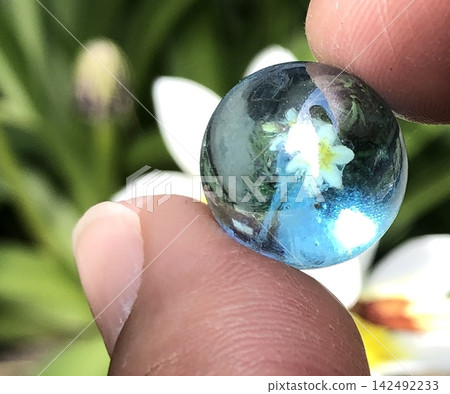 Flower in a marble Flower in a marble 142492233