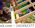 Handyman is measuring wooden beam while working on building project 142492377