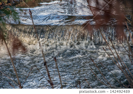 Small Natural Water Cascade in Woodland Stream 142492489