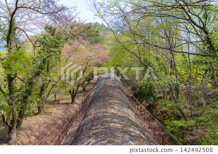 The Kajiya-zaka Aqueduct (Piya) and the spring trees nestled in the mountains of the Tsuru Alps. The Kajiya-zaka Aqueduct (Piya) and the spring trees nestled in the mountains of the Tsuru Alps. 142492508