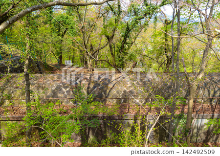 The Kajiya-zaka Aqueduct (Piya) and the spring trees nestled in the mountains of the Tsuru Alps. The Kajiya-zaka Aqueduct (Piya) and the spring trees nestled in the mountains of the Tsuru Alps. 142492509