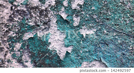 Weathered and Peeling Teal Painted Wall Texture 142492597