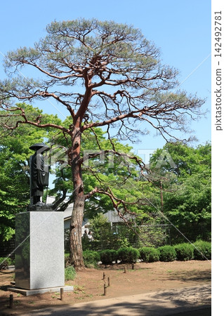 千葉縣野田市慈光山金飾寺景色 千葉縣野田市慈光山金飾寺景色 142492781
