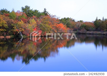 Autumn foliage at Happogahara Lake, Yaita City, Tochigi Prefecture Autumn foliage at Happogahara Lake, Yaita City, Tochigi Prefecture 142492930