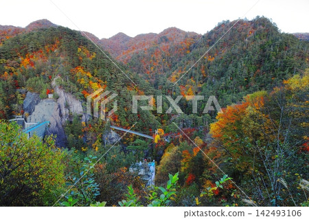 The spectacular scenery of Setoai Gorge in the upper reaches of the Kinugawa River / Nikko City, Tochigi Prefecture The spectacular scenery of Setoai Gorge in the upper reaches of the Kinugawa River / Nikko City, Tochigi Prefecture 142493106