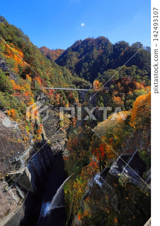 鬼怒川上游瀨戶合峽的壯麗景色 / 栃木縣日光市 鬼怒川上游瀨戶合峽的壯麗景色 / 栃木縣日光市 142493107