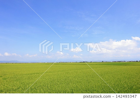 佐賀郡:鄉村景色與藍天 佐賀郡:鄉村景色與藍天 142493347