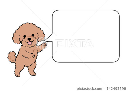 Toy poodle and speech bubble illustration (announcement/notice) Toy poodle and speech bubble illustration (announcement/notice) 142493596