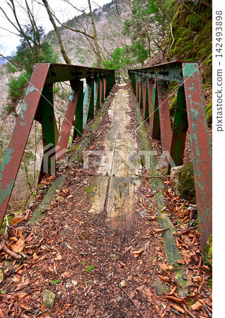 Bridge on the ridge trail near Furukoge Pass on the Izu Peninsula Bridge on the ridge trail near Furukoge Pass on the Izu Peninsula 142493898