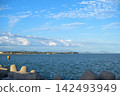 以藍天碧海為背景的海岸四足動物景觀。 142493949