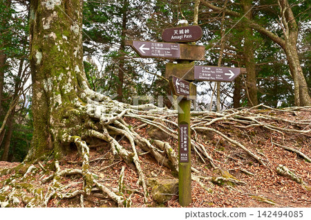 Amagi Pass, the junction of the Izu Mountain Ridge Trail and the Amagi Traverse Trail on the Izu Peninsula. Amagi Pass, the junction of the Izu Mountain Ridge Trail and the Amagi Traverse Trail on the Izu Peninsula. 142494085