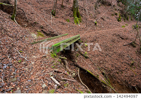 Wooden bridge near Furukoge Pass on the Izu Mountain Ridge Trail of the Izu Peninsula Wooden bridge near Furukoge Pass on the Izu Mountain Ridge Trail of the Izu Peninsula 142494097
