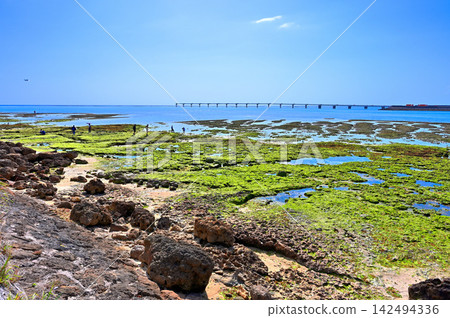 沖繩縣富見城市瀨長島海梶台地海灘和那霸機場跑道。 沖繩縣富見城市瀨長島海梶台地海灘和那霸機場跑道。 142494336