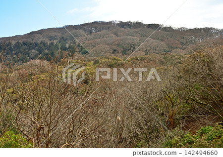 伊豆半島伊豆山脊步道:冬季的特比基加希拉山景色。 伊豆半島伊豆山脊步道:冬季的特比基加希拉山景色。 142494660
