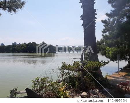 位於大濠公園內的一座漂浮在湖中的小島。 位於大濠公園內的一座漂浮在湖中的小島。 142494664