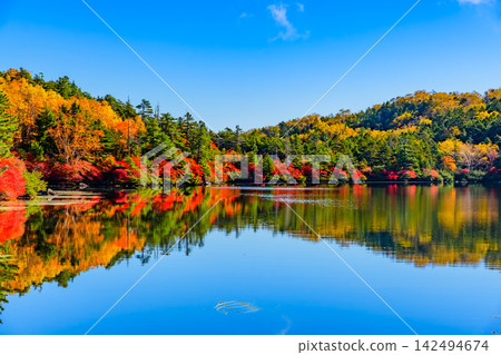 On a clear autumn morning, the blue sky and the autumn leaves on the opposite shore are reflected in the water of Shirakoma Pond's walking path, creating a mirror-like world. On a clear autumn morning, the blue sky and the autumn leaves on the opposite shore are reflected in the water of Shirakoma Pond's walking path, creating a mirror-like world. 142494674