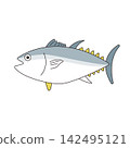 圖片顯示的是一條藍色的鮪魚在遊動，以及新鮮的海魚。 142495121