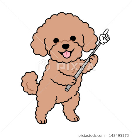 一隻玩具貴賓犬拿著指示棒向上指（表示提供資訊/引起注意）的插圖。 142495373