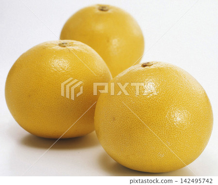 柚子 柚子 142495742