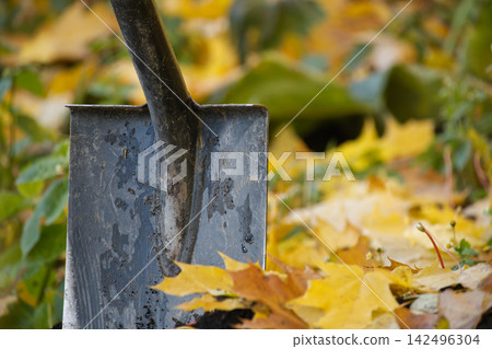 Shovel in Autumn Leaves Outdoor Gardening Tool with Wet Metal Blade Shovel in Autumn Leaves Outdoor Gardening Tool with Wet Metal Blade 142496304