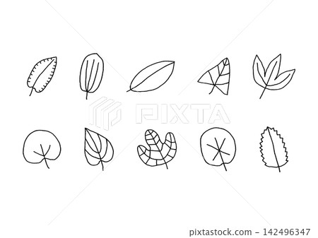 A set of natural line art illustrations of leaves in various shapes (black) A set of natural line art illustrations of leaves in various shapes (black) 142496347