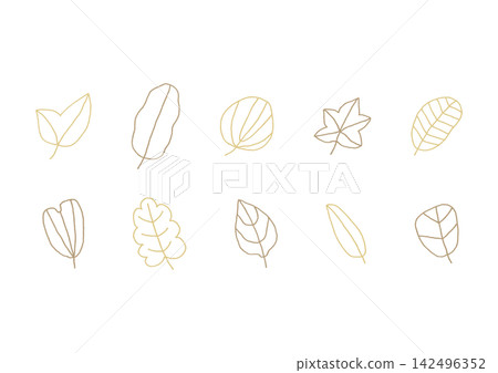 A set of natural line art illustrations of various leaf shapes (brown and yellow) A set of natural line art illustrations of various leaf shapes (brown and yellow) 142496352