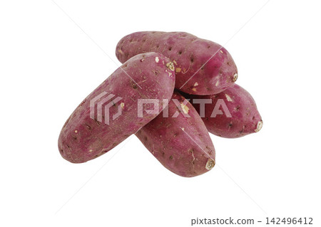 Sweet potato Sweet potato 142496412