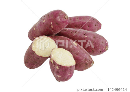 Sweet potato Sweet potato 142496414
