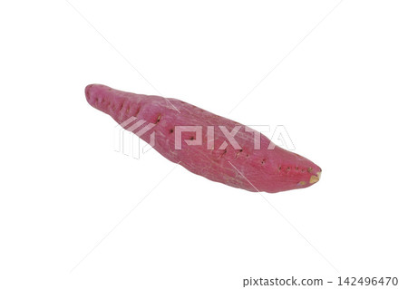 Sweet potato Sweet potato 142496470