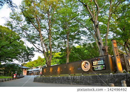 Aichi Prefecture: Nagoya Castle, Kinshachi Yokocho Yoshinao Zone Aichi Prefecture: Nagoya Castle, Kinshachi Yokocho Yoshinao Zone 142496492