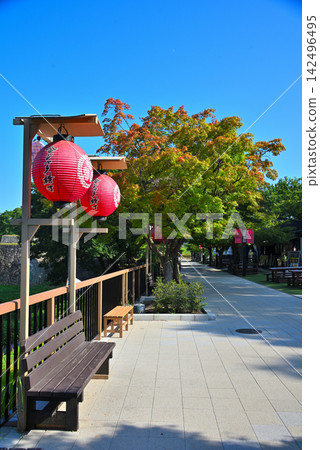 愛知縣:名古屋城、金鯱橫丁宗春地區 愛知縣:名古屋城、金鯱橫丁宗春地區 142496495