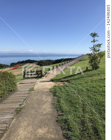 一條沿著山丘通往大海的道路 142496805