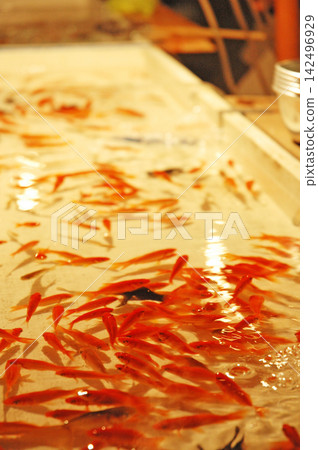 金魚舀 142496929