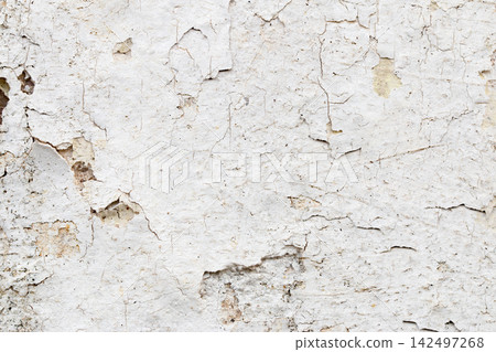 Light Gray Stucco Wall Texture. Abstract Background 142497268