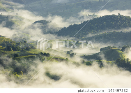 Landscape of Morning Mist with Mountain Layer. mountain ridge and clouds in rural jungle bush forest Landscape of Morning Mist with Mountain Layer. mountain ridge and clouds in rural jungle bush forest 142497282