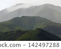 Landscape of Morning Mist with Mountain Layer. mountain ridge and clouds in rural jungle bush forest 142497288