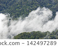 Landscape of Morning Mist with Mountain Layer. mountain ridge and clouds in rural jungle bush forest 142497289