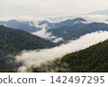 Landscape of Morning Mist with Mountain Layer. mountain ridge and clouds in rural jungle bush forest 142497295