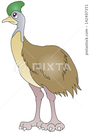 Hand-drawn animal illustration ☆ Cassowary Hand-drawn animal illustration ☆ Cassowary 142497351