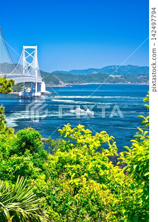 View of the Great Naruto Bridge from the Naruto Mountain Observatory. View of the Great Naruto Bridge from the Naruto Mountain Observatory. 142497794