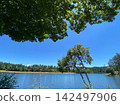 Blue sky, leaves of trees surrounding the lake, and trees standing on the lakeshore (a refreshing natural background) 142497906
