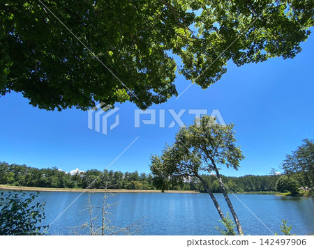藍天、環繞湖泊的樹葉和湖岸邊的樹木(令人心曠神怡的自然背景) 藍天、環繞湖泊的樹葉和湖岸邊的樹木(令人心曠神怡的自然背景) 142497906