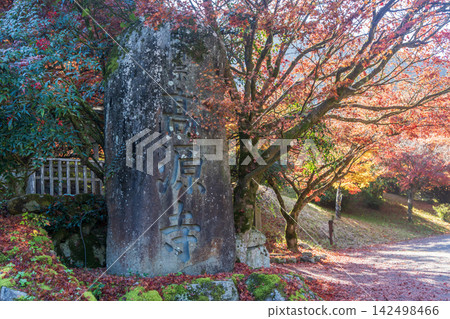 一座被秋葉覆蓋的石碑 一座被秋葉覆蓋的石碑 142498466