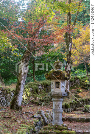 高源寺的秋葉景色 高源寺的秋葉景色 142498467