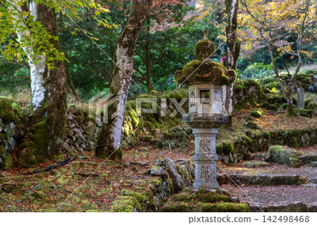 Autumn foliage scenery at Kogenji Temple Autumn foliage scenery at Kogenji Temple 142498468