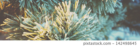 Pine branches covered with hoarfrost. Nature winter background. Winter nature. Snowy forest. Christmas background Pine branches covered with hoarfrost. Nature winter background. Winter nature. Snowy forest. Christmas background 142498645
