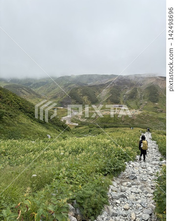 大雪山的山脊線籠罩在霧氣之中。 142498696