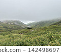 大雪山的山脊線籠罩在霧氣之中。 142498697