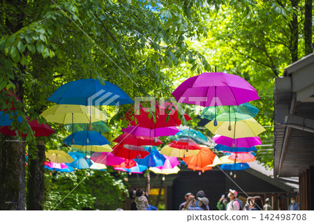 Umbrella sky Umbrella sky 142498708