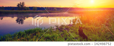 Early in the morning, sunrise over the lake. A misty morning, a rural landscape, a desert, a mystical feeling Early in the morning, sunrise over the lake. A misty morning, a rural landscape, a desert, a mystical feeling 142498752